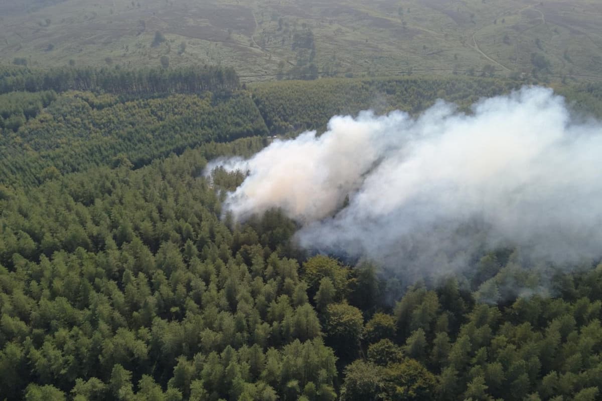 Cannock Chase Fire Today: Authorities Respond to Significant Woodland Incident as Roads Remain Closed for Emergency Crews